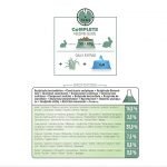 versele-laga-cuni-adult-conejos3