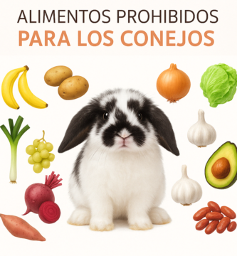 alimentos-mortales-conejos