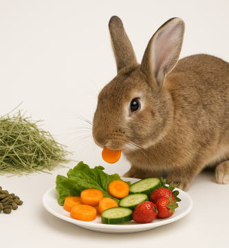 comida-conejos