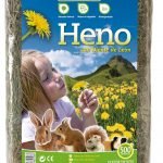 heno-arquivet-conejos