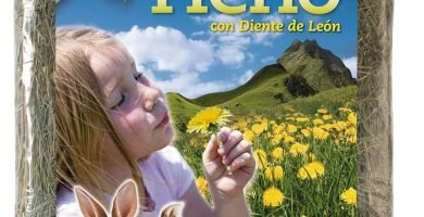 heno-arquivet-conejos